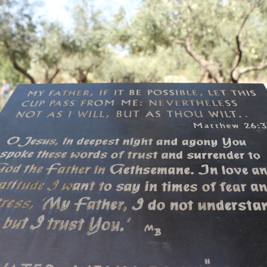 De Tuin van Getsemane Jeruzalem